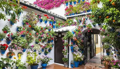 Jardín al aire libre en Hacienda Miraflores