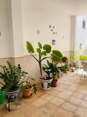 Plano de Patio de Los Barberos