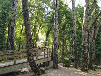 Paisaje cerca de esta casa o chalet