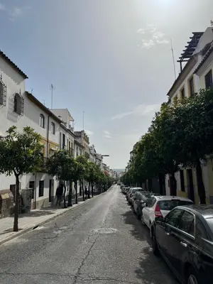 El barrio de los alrededores o un barrio cerca de este apartamento