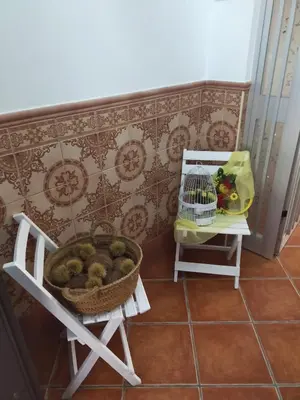 Comida en o cerca de este apartamento