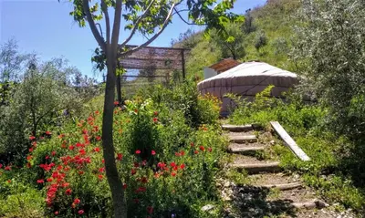 Jardín al aire libre en La Molina - casas independientes en naturaleza excepcional