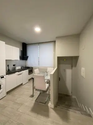 Una cocina o zona de cocina en Garden City lofts