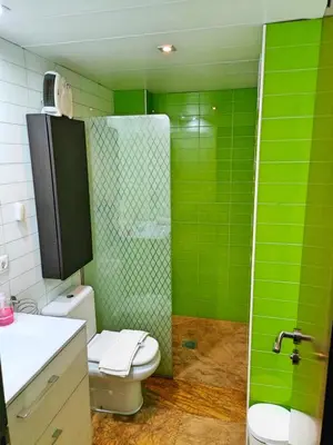 Un baño de Amplio y Moderno Apartamento Lorenzo Ferreira
