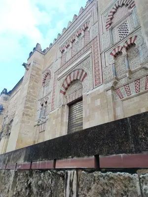 Plano de La Casa de la Mimosa