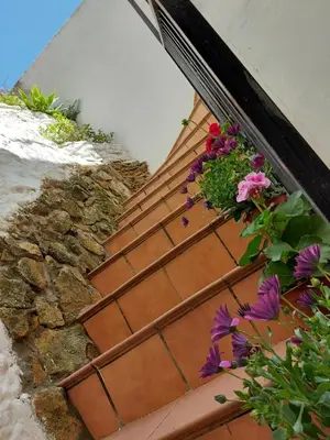 Plano de CASA LA ABUELA REMEDIOS