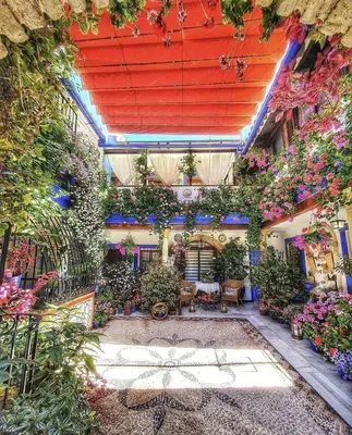 Jardín al aire libre en Vivienda Turística en Alcázar Viejo San Basilio