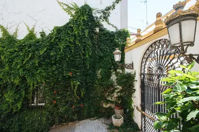 Jardín al aire libre en Magno Apartments Vidrio