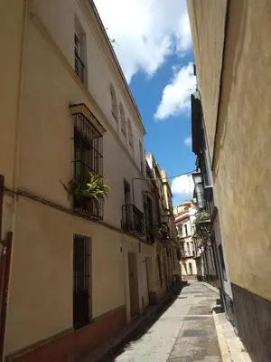 El barrio de los alrededores o un barrio cerca de este apartamento