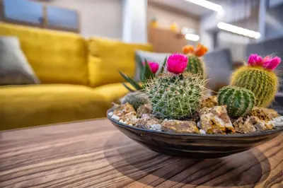 Zona de estar de NEW Loft Cabel & Parking Incluido