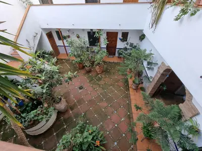 Jardín al aire libre en Vivienda Turística en Típico Patio Cordobés San Basilio
