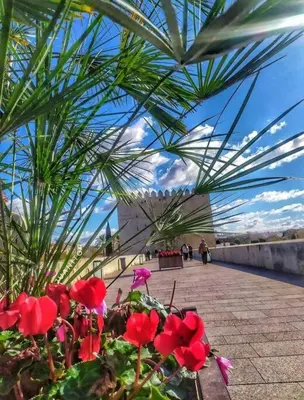 Jardín al aire libre en Apartamento maripipi