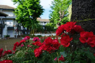 Jardín al aire libre en Vista Corral del Conde