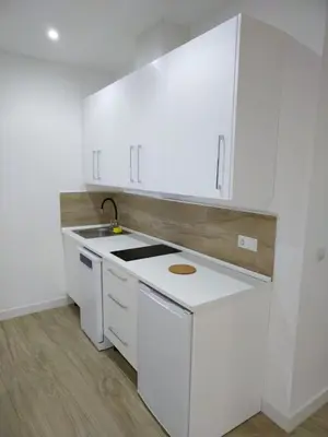 Una cocina o zona de cocina en CASTRO Suites Osuna