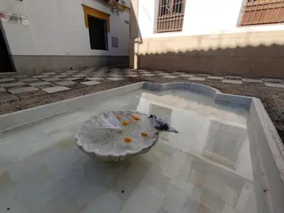 Comida en o cerca de este apartamento