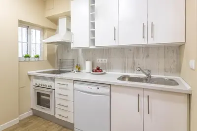 Una cocina o zona de cocina en Geysotur JUANI Centro Parking y Wifi gratis