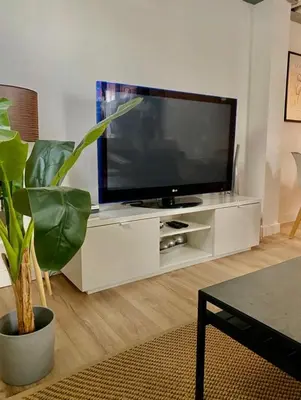 Una televisión o centro de entretenimiento en Loft Alameda en Sevilla