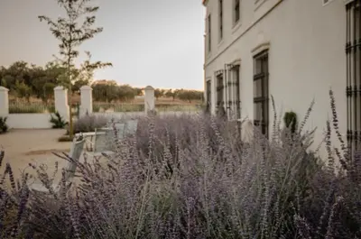 Jardín al aire libre en La Dehesa de Don Pedro