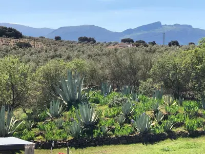Paisaje cerca de este bed & breakfast