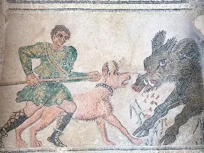 Animales en la casa o chalet o alrededores