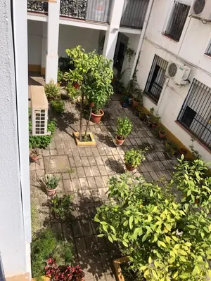 Jardín al aire libre en Apartamento Plaza Santa Lucia RENOVADO FEBRERO 2025