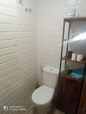 Un baño de La Aracelitana