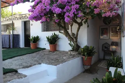 Jardín al aire libre en Casa Rural Faltriquera Setenil