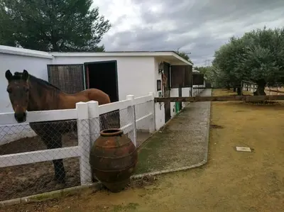 Animales en la villa o alrededores