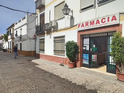 El barrio de los alrededores o un barrio cerca de este apartamento