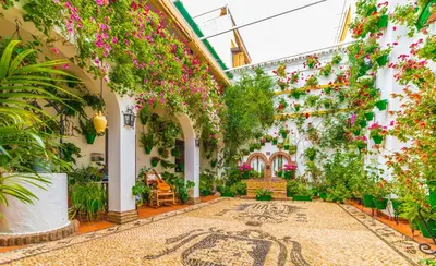 Jardín al aire libre en Boho Suite Apartment
