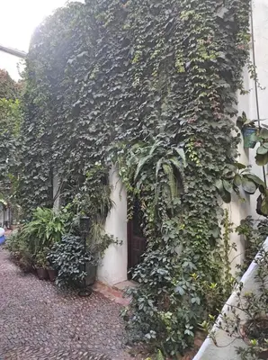Jardín al aire libre en Apartamento Dama de Noche