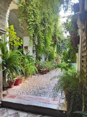 Jardín al aire libre en Apartamento Dama de Noche