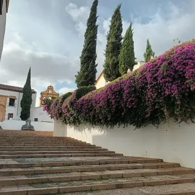 Suites Casa San Mateo