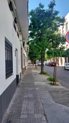 El barrio de los alrededores o un barrio cerca de este apartamento