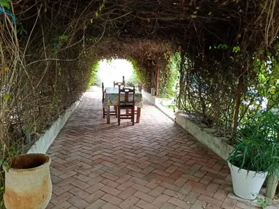 Jardín al aire libre en 3 Bed Lodge - Sleeps 6 - Pool - Terrace - Parking