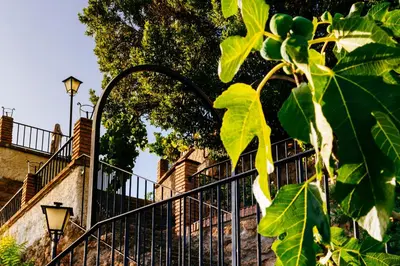 Jardín al aire libre en La Martina
