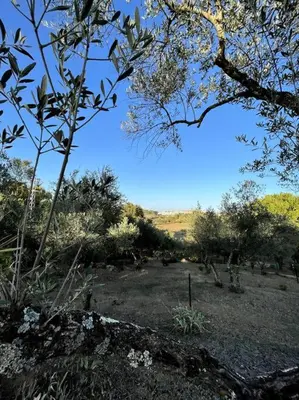 Paisaje cerca de este apartamento