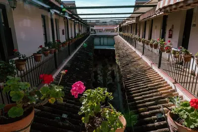 Plano de Apartamento con encanto en patio sevillano (202)