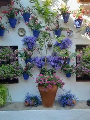 Jardín al aire libre en Geysotur La Estrella
