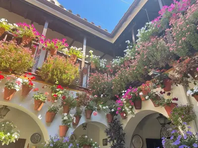 Jardín al aire libre en Geysotur La Estrella