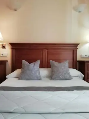 Cama o camas de una habitación en Hotel Plateros