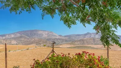 Paisaje cerca de esta casa o chalet