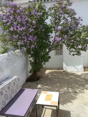Jardín al aire libre en Casa Béjar, Tranquila casa con chimenea, patios, junto a la piscina