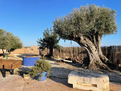 Plano de La casa del olivo