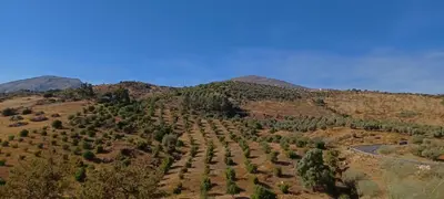 Paisaje cerca de este bed & breakfast