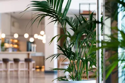 Plano de Hotel Antequera Hills