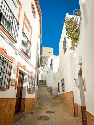 El barrio de los alrededores o un barrio cerca de esta casa o chalet