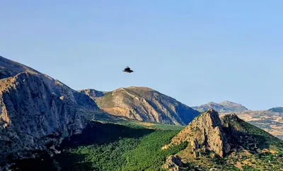 Paisaje cerca de este apartamento