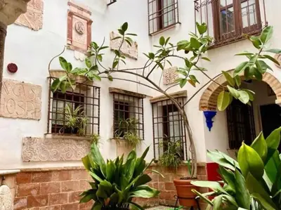 Jardín al aire libre en Geysotur Buhardilla de Wallada Córdoba