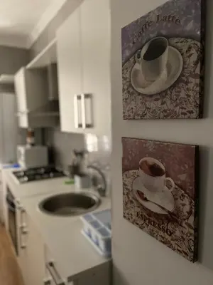 Una cocina o zona de cocina en Apartamento Venus